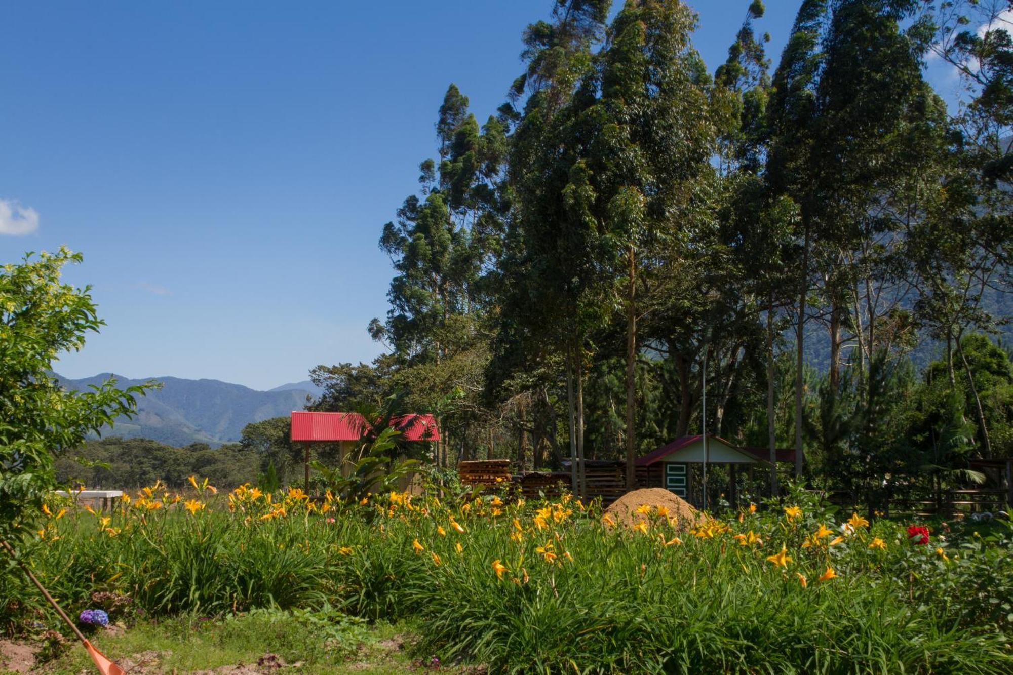Cemayu Oxapampa